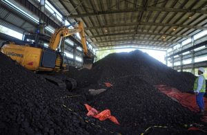 PTBA Perkuat Langkah Menuju Energi Bersih Lewat Uji Coba Co-Firing Wood Pellet di PLTU Tanjung Enim