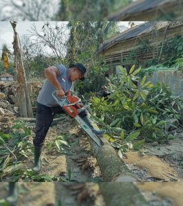 Brimob Sumut Hadir Lindungi Warga, Ancaman Pohon Mati Ditangani Pascabencana Batang Toru